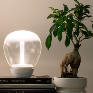 Natural table lamps